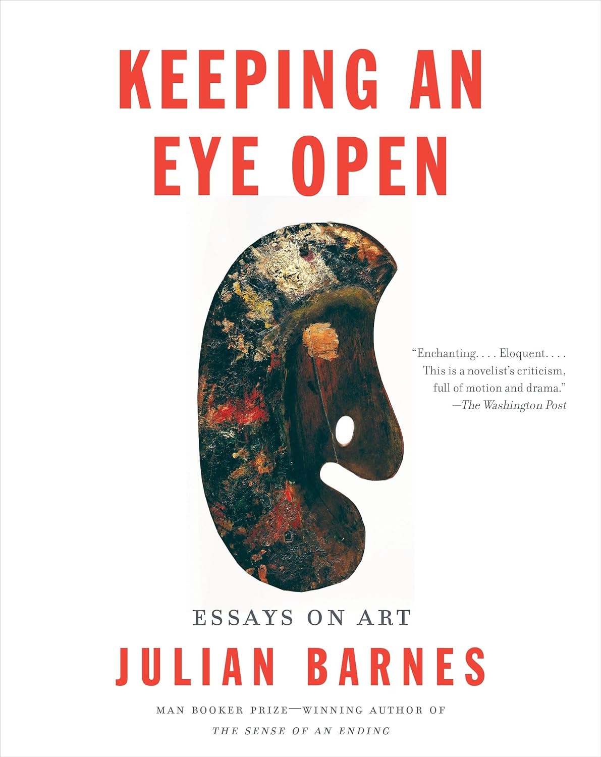 Keeping an Eye Open by Julian Barnes